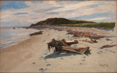 Cape Cod, Strand