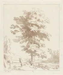 Baum in einer Landschaft