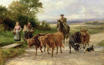 Der gutaussehende Viehtreiber, 1904