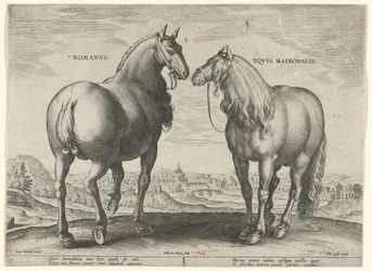 Pferd aus Rom und eine Tragstute Pferderassen aus den königlichen Ställen von Don Juan von Österreich (Serientitel)