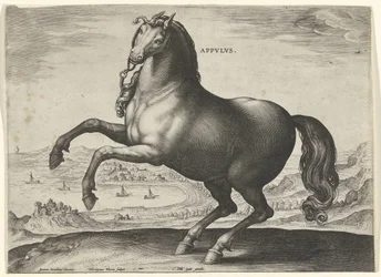 Pferd aus Süditalien (Appulus)
Pferderassen aus den königlichen Ställen von Don Juan von Österreich (Serientitel)