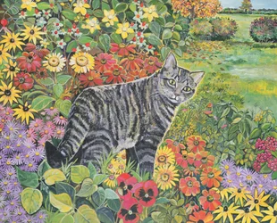 Gehen wir denselben Weg?