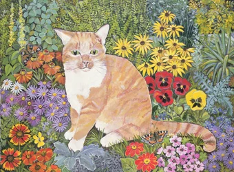 Die Katze des Zimmermanns