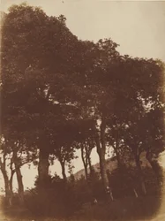 [Feld bei Bonaly]