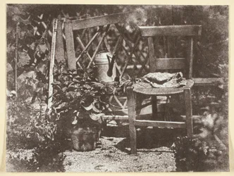 Stuhl in einem Garten