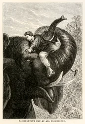 Passepartout überhaupt nicht erschrocken, aus In 80 Tagen um die Welt von Jules Verne (1828-1905), 1873