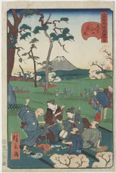 Nr. 5, Kirschblütenbesichtigung am Asuka-Hügel