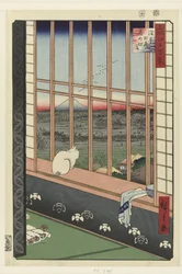 Asakusa-Reisfelder und Torinomachi-Festival