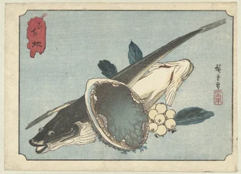 Plattfische, Abalone und Beeren