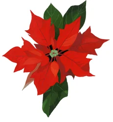 Weihnachtsstern
