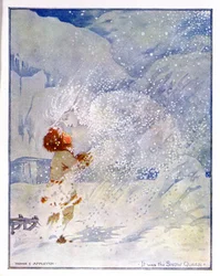 Illustration aus 