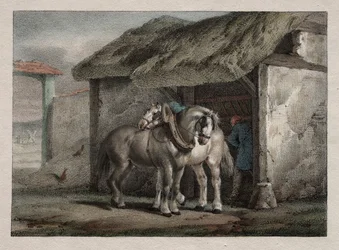 Bauernpferd