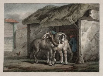Bauernpferd