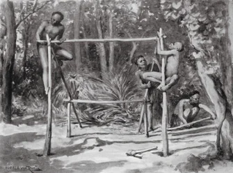 Die Morgendämmerung des Lebens, ein Zuhause bauen