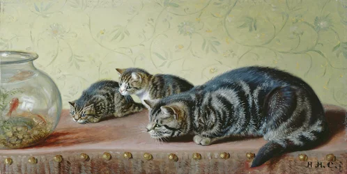 Die Angelgesellschaft