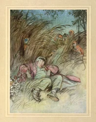 Von Affen beobachtet, aus 