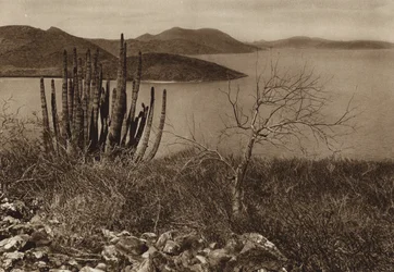 Mexiko: Nahe der Küste von Baja California