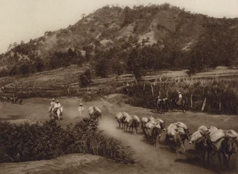 Mexiko: Transportkolonne im Landesinneren