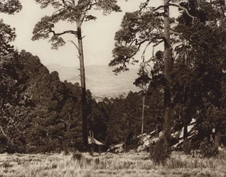 Mexiko: Wildes Panorama am Fuße des Pico de Orizaba