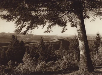 Mexiko: Nationalpark, Wüste der Löwen