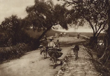 Mexiko: Una carretera en las Montañas de México