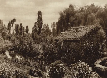 Mexiko: Xochimilco mit den sogenannten "Schwimmenden Gärten"