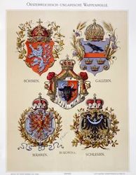 Wappen aus der Österreichisch-Ungarischen Monarchie, aus dem „Heraldischen Atlas“ des Künstlers, 1899