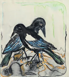 Schwarze Vögel