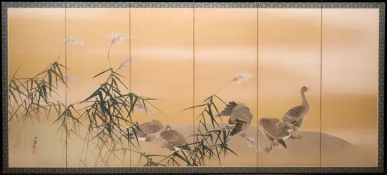 Flussrohr und Gänse