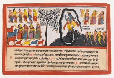Krishna besiegt die Schlange Kaliya, Seite aus einer verstreuten Bhagavata Purana-Serie, ca. 1775
