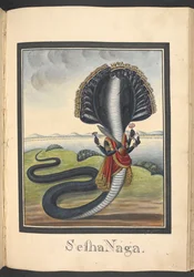 Sesha, die Schlange, auf der Vishnu liegt