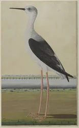 Wasservogel in einer Landschaft, ca. 1780