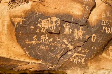 Ein Petroglyph auf einem Felsen mit einem Bison und einem weiteren trächtigen Bison bei Willow Bend, 2005 (Foto)