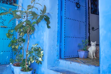 Eine Straßenszene in Chefchaouen, der blauen Stadt von Marokko, 2019 (Foto)