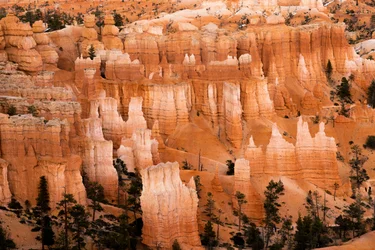 Hoodoos - durch Erosion entstandene Türme - im Bryce Canyon Nationalpark in Utah, 2019