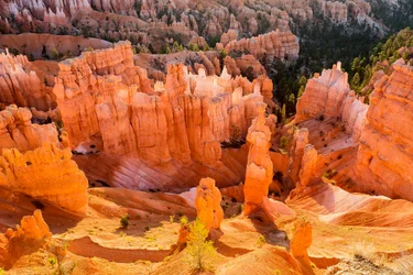 Sonnenaufgang auf Hoodoos im Bryce Canyon Nationalpark