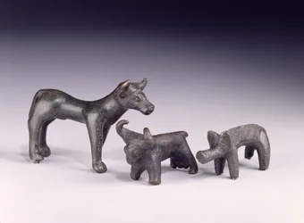 Zwei Stiere aus Ungarn und ein Eber aus der Gower-Höhle, Rhossilly, Südwales, Eisenzeit