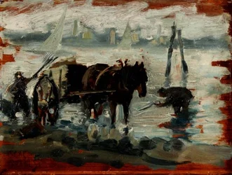 Sammeln von Kelp