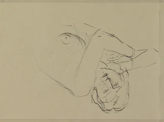 Liegender weiblicher Akt