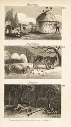 Berufe in Norfolk, Regency-England