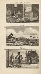 Berufe im Regency-England: Korbmacherei, Gänse rupfen und Peitschenherstellung