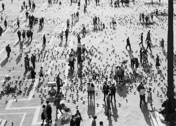 Ansicht der Menschenmengen auf der Piazza San Marco, Venedig, um 1965