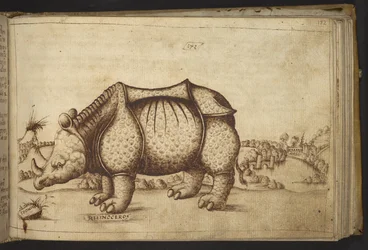 Nashorn, aus Historia Animalium