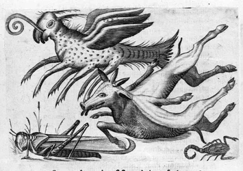 Verschiedene Arten von monströsen Tieren. Gravur aus „De monstrorum natura, causis et differentiis“ von Fortunio Liceti (1577-1656), italienischer Wissenschaftler. 1646