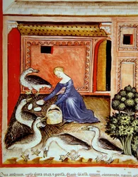 Gänsezucht, Illustration aus Tacuinum Sanitatis Codex Vindobonensis
