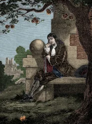 Isaac Newton beobachtet, wie ein Apfel zu Boden fällt, während er unter einem Baum sitzt