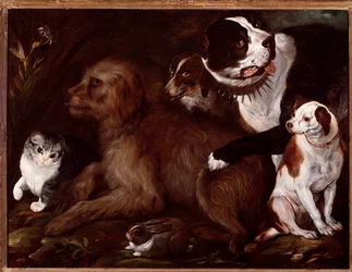 Medici-Hunde, mit einer Katze und einem Kaninchen aus der italienischen Schule