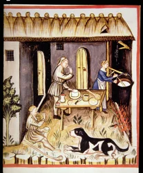 Nova 2644 fol.62r Zubereitung von weißem Käse, aus Tacuinum Sanitatis