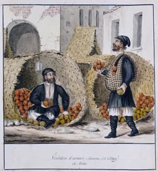 Orangen- und Zitronenverkäufer von Milis auf Sardinien, gedruckt ms.258, Luzzetti-Sammlung