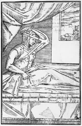 Rekonstruktive Nasenchirurgie, Illustration aus 